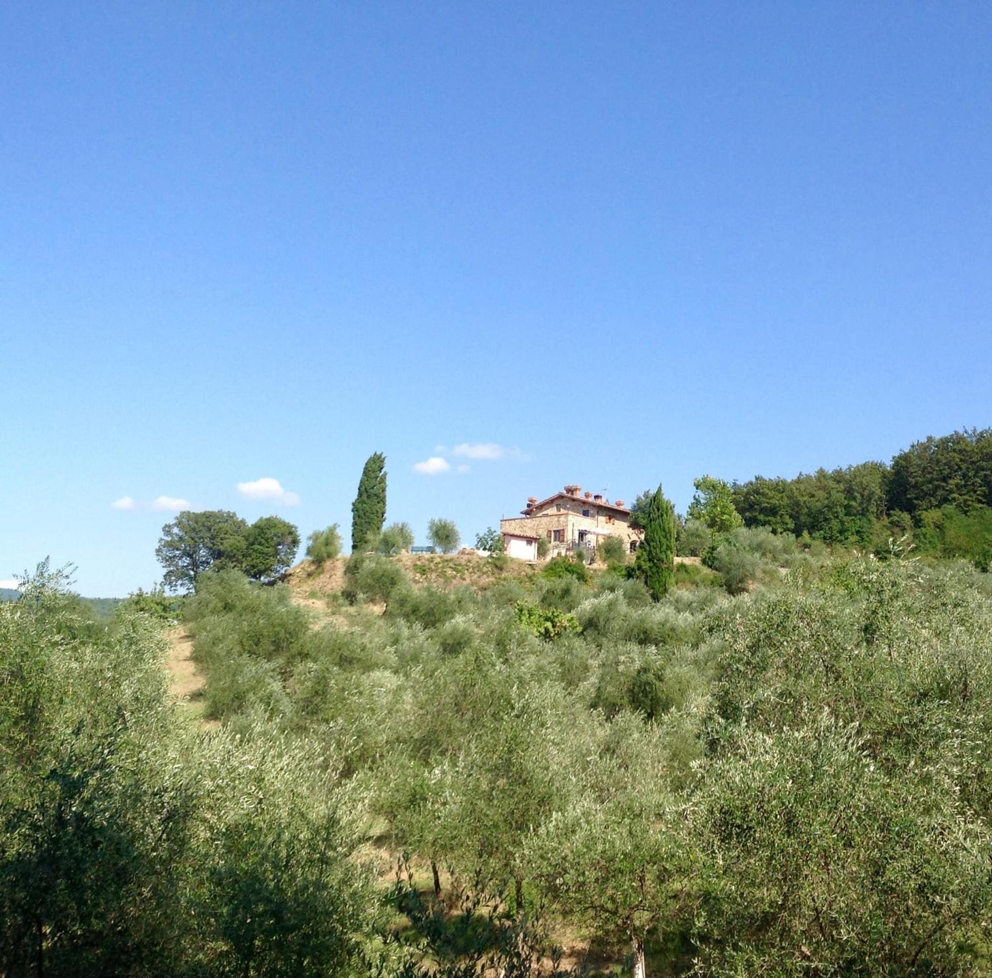 הוילה Rufina Agriturismo Prato Barone מראה חיצוני תמונה